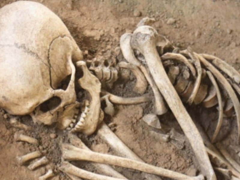 कङ्काल भेटियो